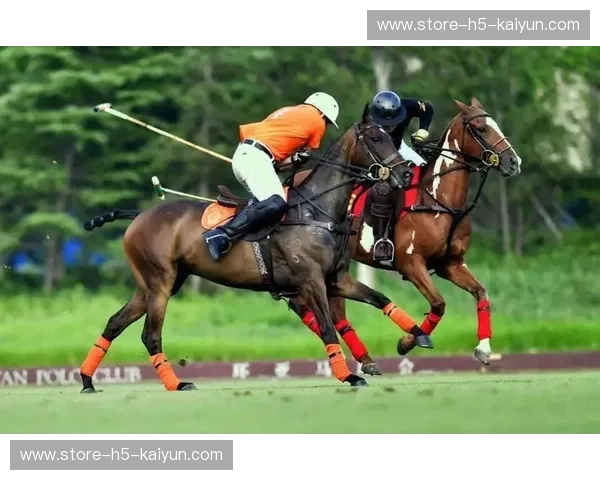 美洲杯赛程全攻略：赛程、看点与观赛指南